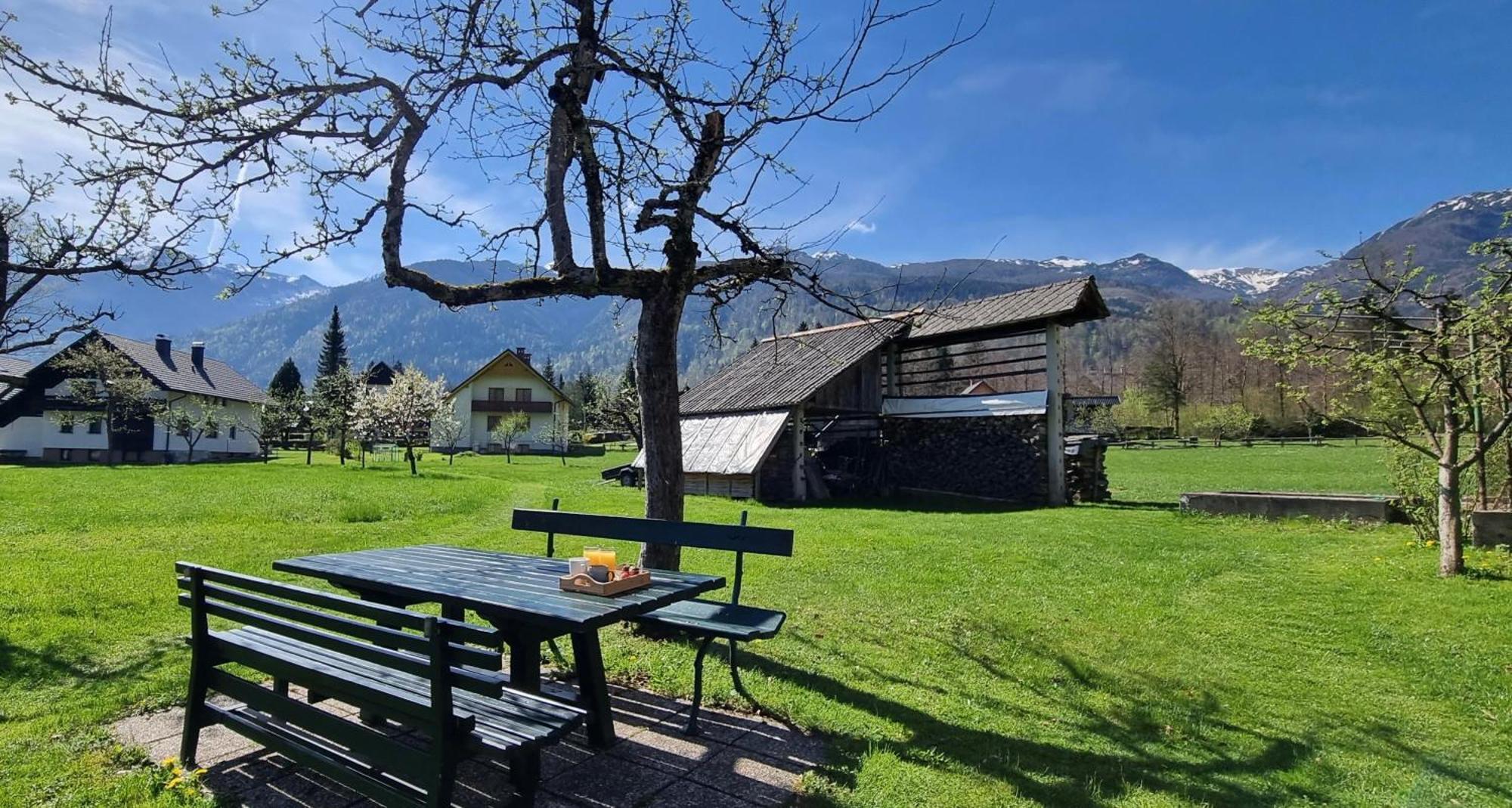 Apartments Skantar Bohinj Exterior foto